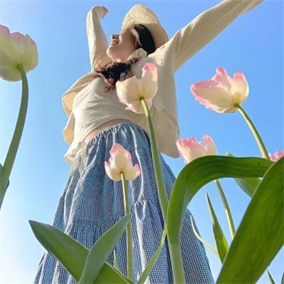 坎卜斯:清算